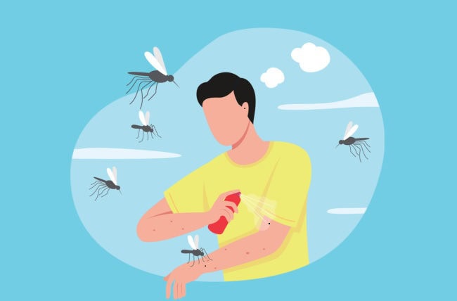 How To Get Rid of Mosquitoes Naturally